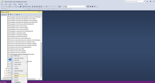SQL Server Management Studio